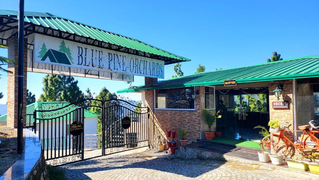 Blue Pine Orchards - Villas Lansdowne Eksteriør billede